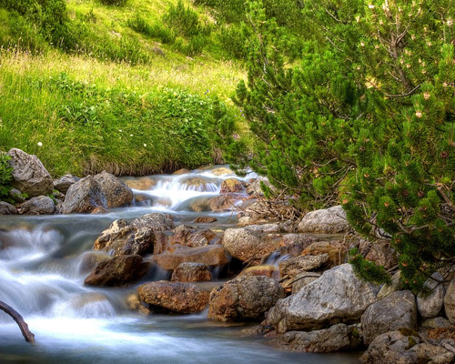 Grüne Natur in der Nähe der Reha Weiskirchen